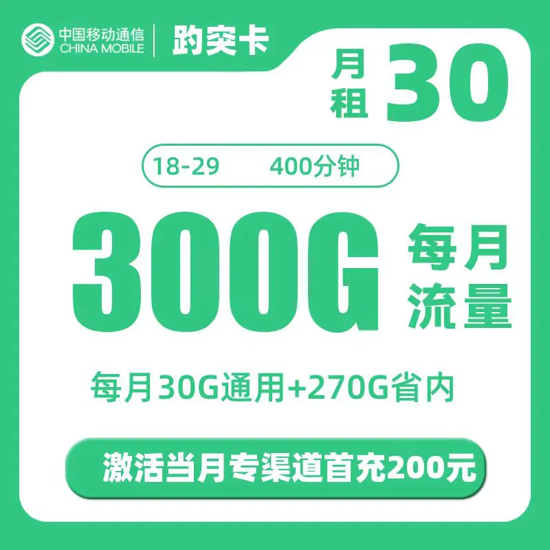 移动趵突卡【仅发山东】30元300G（30G省内+270G省内）+400分钟